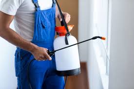 Best Residential Pest Control  in Romeo, MI